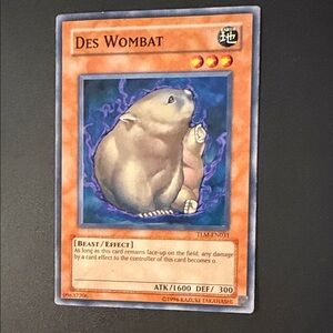 Des Wombat Trading Card - Orange